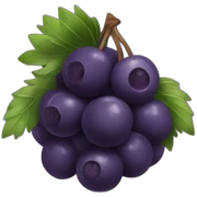 Acai sticker