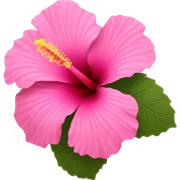 pink hibiscus flower  sticker