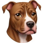 Brown Pitbull laying sticker