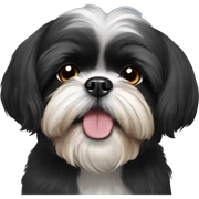 black shih tzu sticker