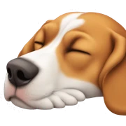 Beagle sleeping  sticker