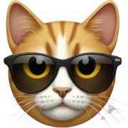 Cat with sunglasses sticker