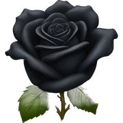 Black rose  sticker