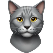 Muscular grey cat sticker