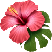 Hibiscus flower sticker