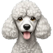 Poodle sticker