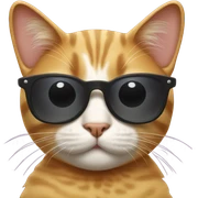 Cat with sunglasses sticker