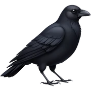 crow sticker