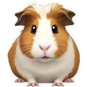 guinea pig sticker