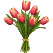 tulip bouquet  sticker