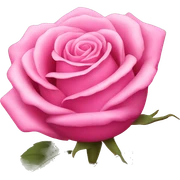 Pink rose  sticker