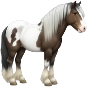 Gypsy horse sticker