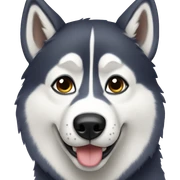 Husky  sticker