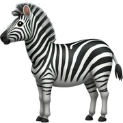 zebra sticker