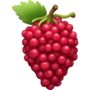 Berry  sticker
