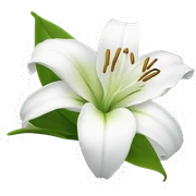 Lily white flower sticker