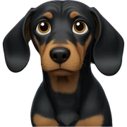 dog gazing into the void sticker