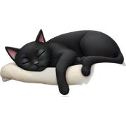 Black cat sleeping  sticker