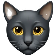 dark gray sleek Tom cat with gold eyes  sticker