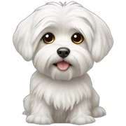 maltese sticker
