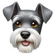 Mini Schnauzer sticker