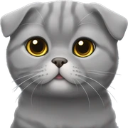Gray Scottish fold sticker