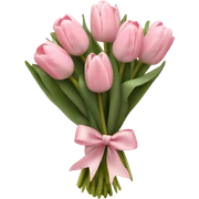 Pale Pink tulips bouquet whit a soft Pink bow sticker