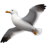 Seagull sticker