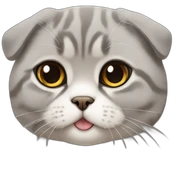 scottish fold sticker