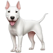 Bull terrier sticker