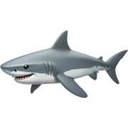 shark sticker
