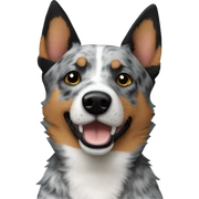 Blue heeler sticker