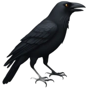 crow sticker