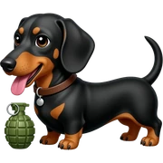 Dachshund with a grenade sticker
