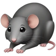 Rats sticker