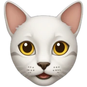 Cats sticker