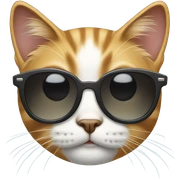 Cat with sunglasses sticker