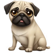 Pug  sticker