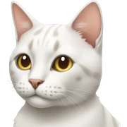 Cat sticker
