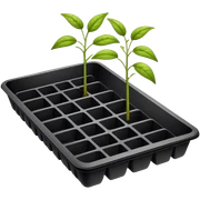 Seed Trays sticker