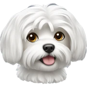 Maltese  sticker