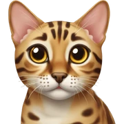 Bengal cat sticker