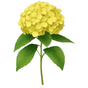 Yellow hydrangea  sticker