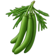 Haricot vert sticker