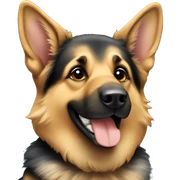 German shepherd smiling  sticker