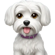 Maltese dog at the beach sticker