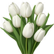 white tulips sticker