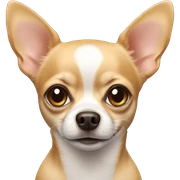 Chihuahua  sticker
