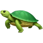 Tortue lovers sticker
