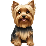 Yorkshire terrier  sticker